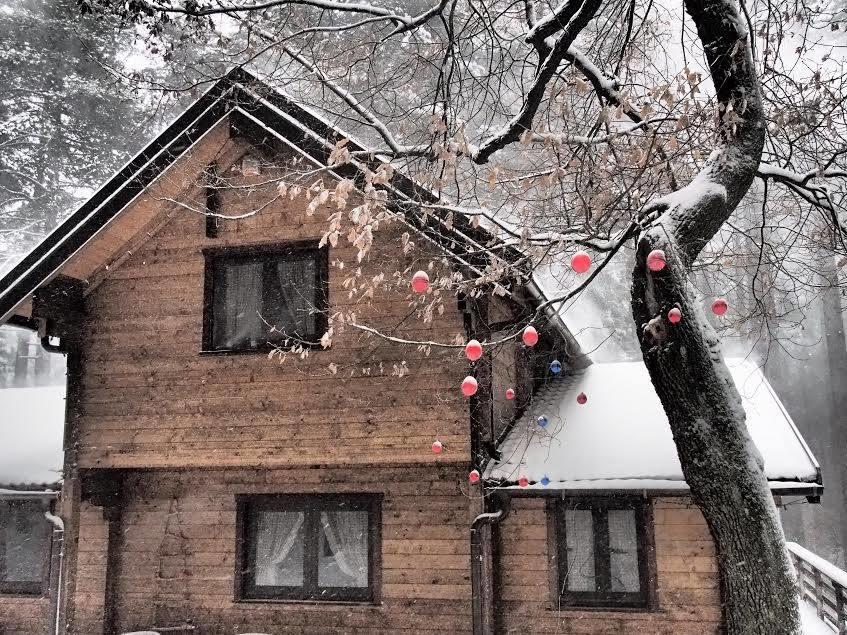 Hotel Chalet Clan Dei Ragazzi Linguaglossa Exteriér fotografie